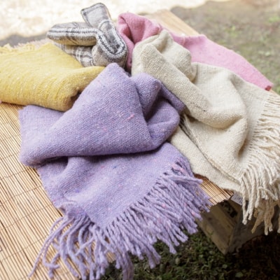 写真：岡さんの作品の数々